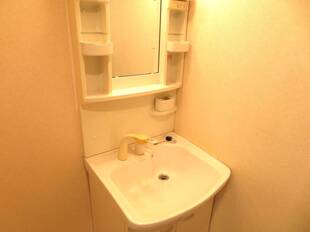 シャンプードレッサー