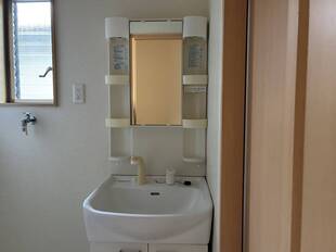 シャンプードレッサー