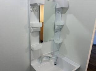 シャンプードレッサー