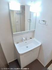 シャンプードレッサー