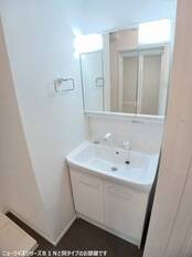 シャンプードレッサー