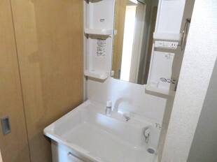 シャンプードレッサー