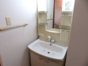 シャンプードレッサー