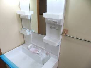 シャンプードレッサー