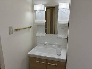 シャンプードレッサー