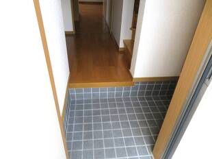Pic1