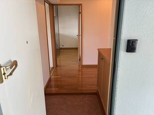 Pic1