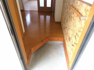 Pic1
