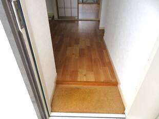 Pic1