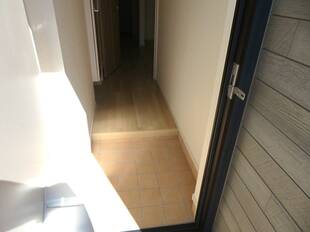 Pic1
