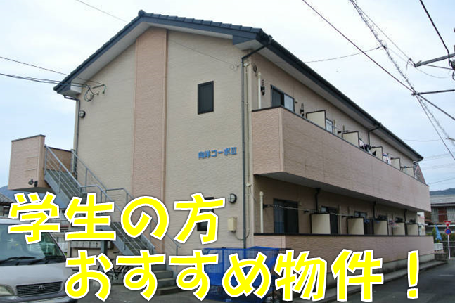 グランデュールNメゾン　（延岡市　大貫）＜１K＞206号室